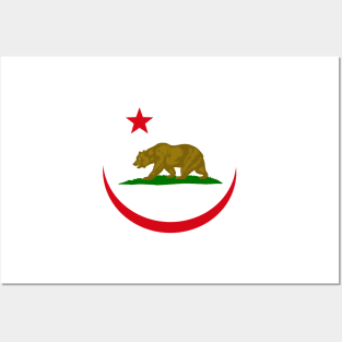 Californian Murican Patriot Flag Series Posters and Art